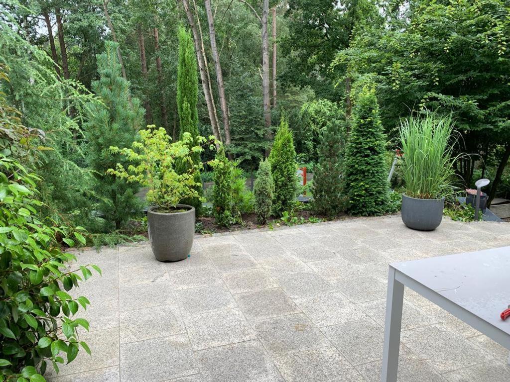 Ferienhaus Bendestorf, Waldweg 38,Naehe Hamburg 외부 사진